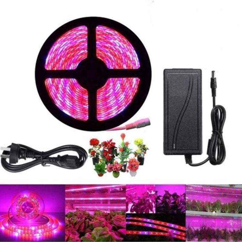 1cba7103-c8dc-4e48-8023-d3be4add649c - True Technology 