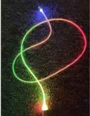 397879172902 - True Technology 