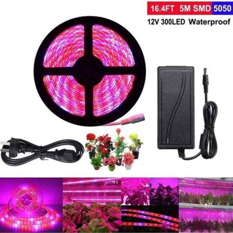 99671843-5640-40a1-9214-f241cb1fe824 - True Technology 